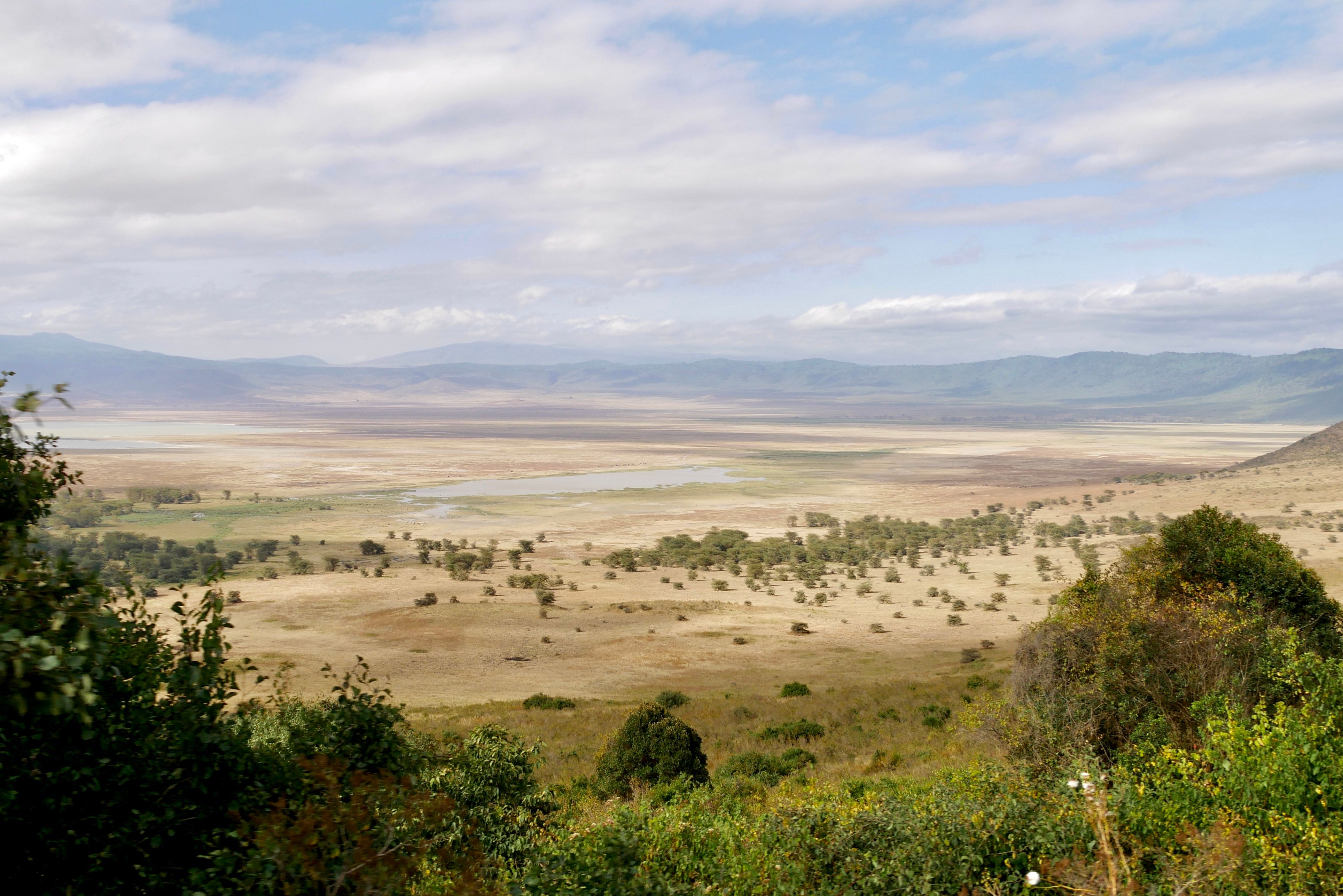 Ngorongoro